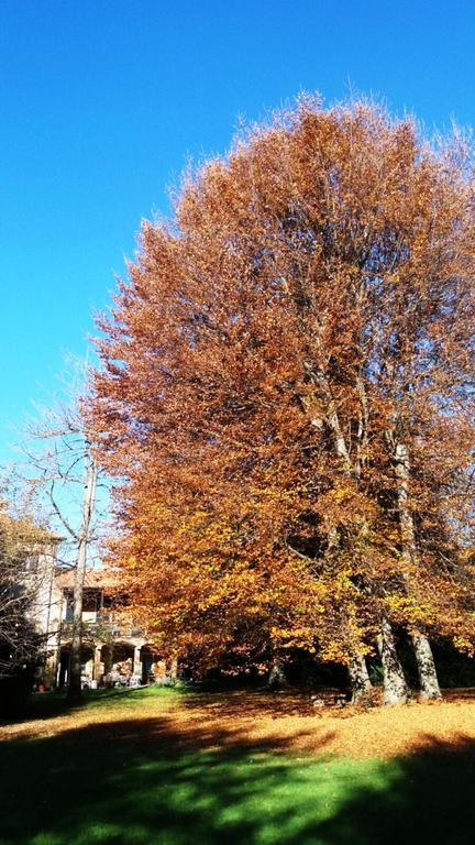 Appartamento Il Faggio Rosso Albiolo Camera foto
